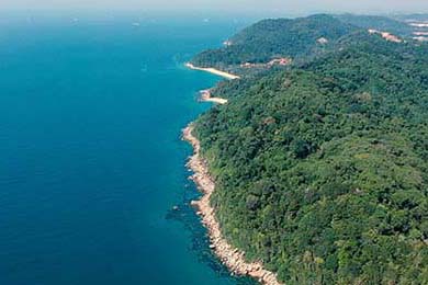 深圳领航队核心控卫发挥稳定串联全队攻势，深圳领航者篮球队官网